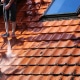Démoussage de toiture : comment procéder ?